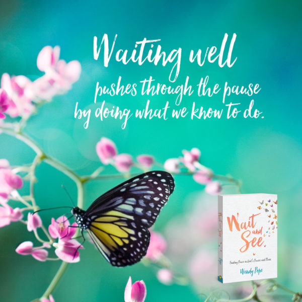 Wait and See by Wendy Pope
