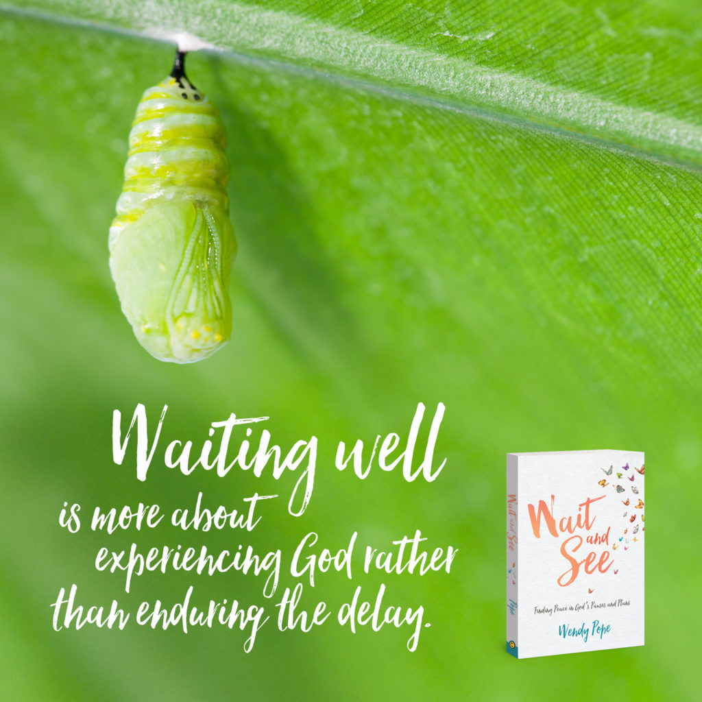 Wait and See by Wendy Pope