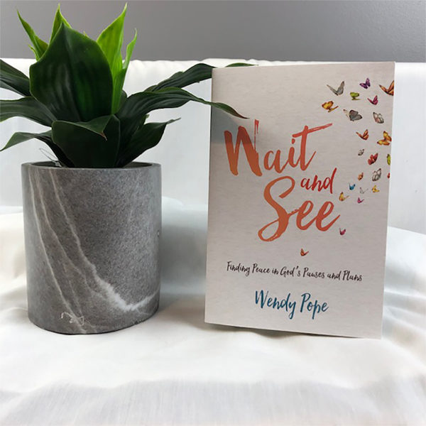 Wendy Pope: Wait and See Book